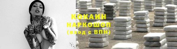 кокс Елизово