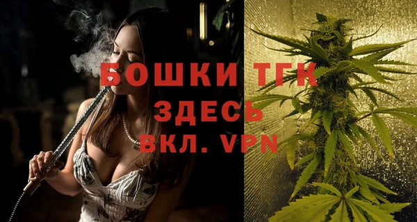 кокс Елизово
