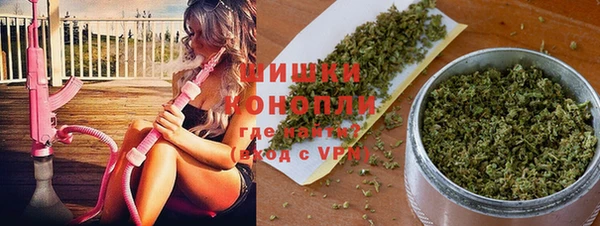 бошки Елабуга