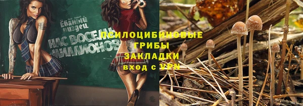 гидропоника Ельня