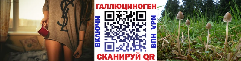 купить   Пустошка  Псилоцибиновые грибы мицелий 